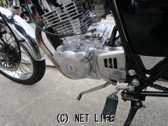 スズキ ボルティー