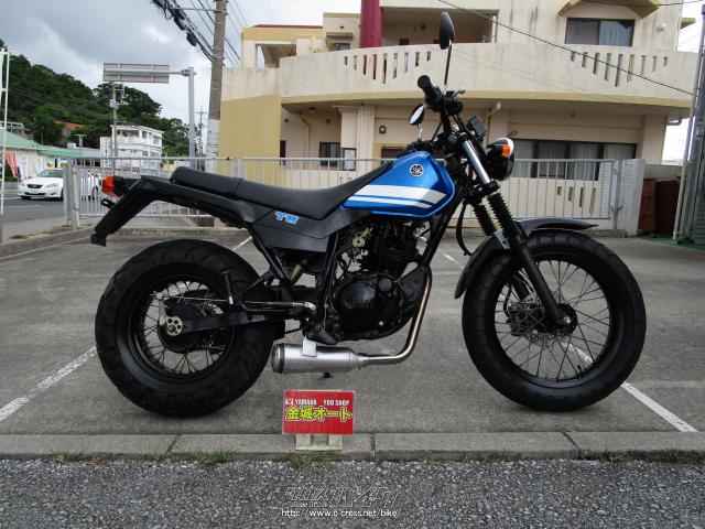 ヤマハ TW 225・青/白・225cc・金城オート・9,695km (2023年10月