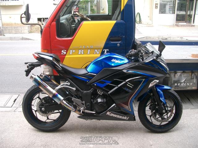 ニンジャ250スペシャルエディション Kawasaki Ninja 250 | スポーツ