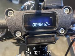 ハーレーダビッドソン ソフテイル