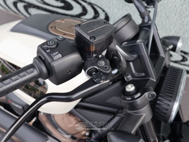 前後ブレンボブレーキライン標準装備 ハーレーダビッドソン スポーツスター1200