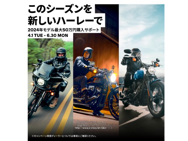ハーレーダビッドソン スポーツスター883 RH975 ナイトスター /購入