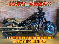 ハーレーダビッドソン ソフテイル