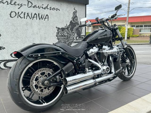 ハーレー 2010年式 CVO FLHXSE 年式別モデルカタログ | バージンハーレー