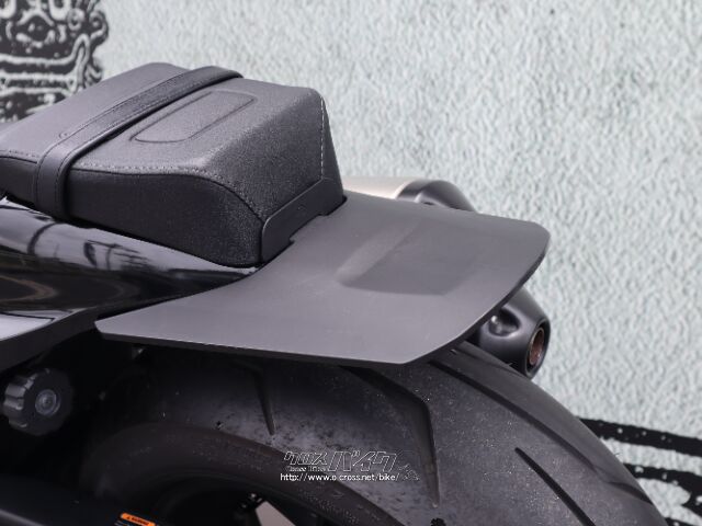 カスタム:リアフェンダ― ハーレーダビッドソン スポーツスター1200