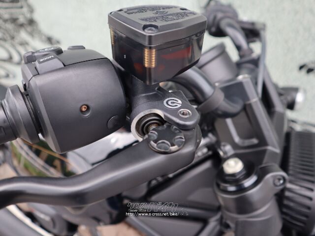 前後ブレンボブレーキライン標準装備 ハーレーダビッドソン スポーツスター1200