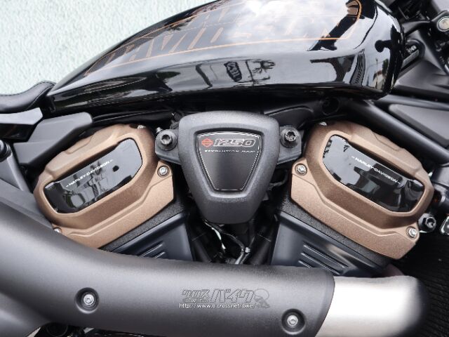 1,252cc水冷Vツイン(RevolutionMax) ハーレーダビッドソン スポーツスター1200