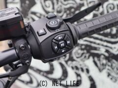 ハーレーダビッドソン スポーツスター1200