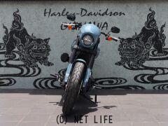 ハーレーダビッドソン ソフテイル