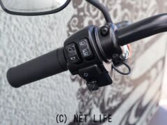 ハーレーダビッドソン ソフテイル