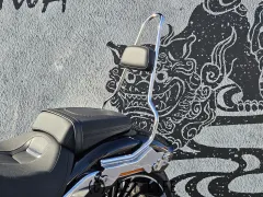 ハーレーダビッドソン ソフテイル