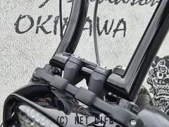 ハーレーダビッドソン ソフテイル