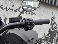 ハーレーダビッドソン ソフテイル