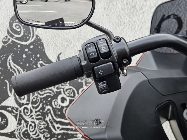 クルーズコントロール標準増備 ハーレーダビッドソン ソフテイル
