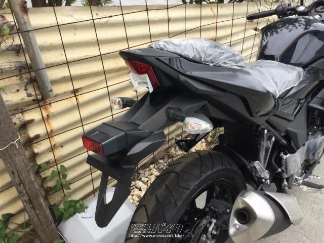 テールランプのV字型が、個性的で魅力的なライト!! スズキ GSX250R