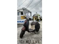 ホンダ ジョルノ