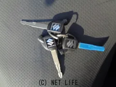 スズキ スカイウェイブ250