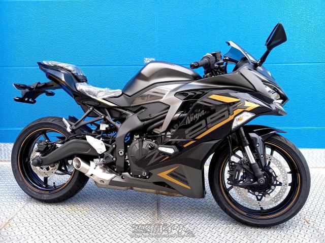 カワサキ ZX -25R SE 期間限定!決算セール開催中!・グレー・250cc