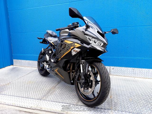 クロスバイク カワサキ ZX -25R SE 期間限定!決算セール開催中!・グレー・250cc