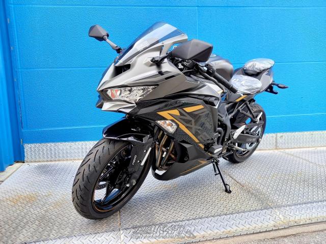 カワサキ ZX -25R SE 期間限定!決算セール開催中!・グレー・250cc