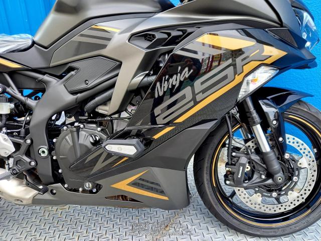 カワサキ ZX -25R SE 期間限定!決算セール開催中!・グレー・250cc