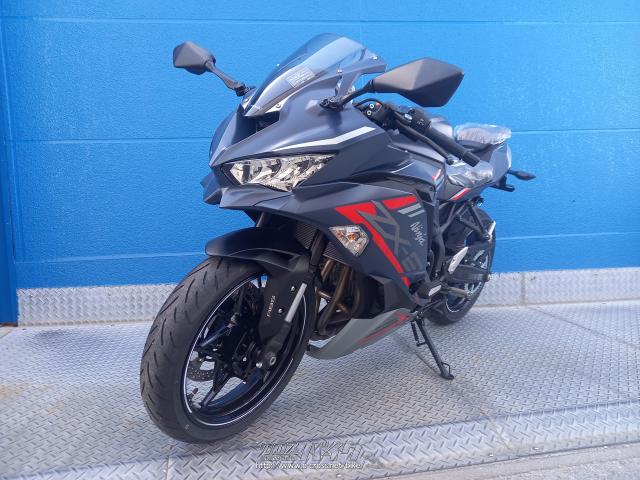 Rさま専用ページ⭐︎ 桜②様 ご確認用ページ 桜②様 ご確認用ページ 桜②