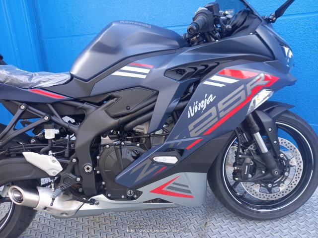カワサキ ZX -25R SE・マットブルー・250cc・モトフリークウイリー