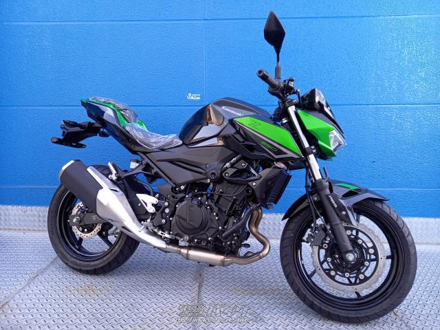 カワサキ Z250 2023 モデル・グリーン・250cc・モトフリーク