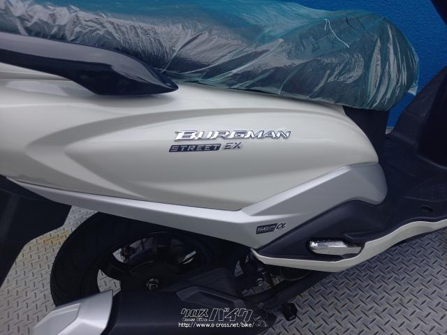 スズキ バーグマン125