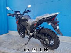 スズキ V-STROM250
