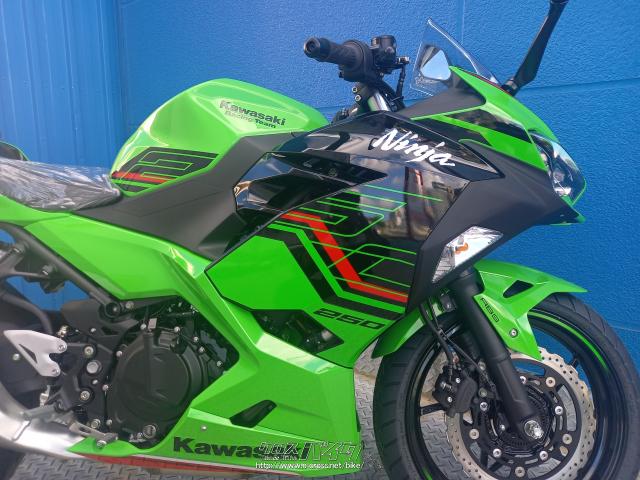 カワサキ ニンジャ250 2024モデル・グリーン・250cc・モトフリーク