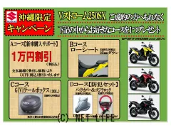スズキ V-STROM250