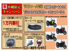 スズキ V-STROM250