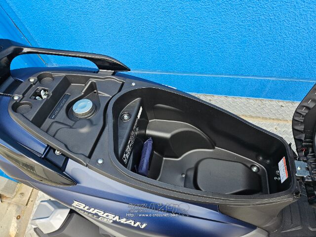 スズキ バーグマン125