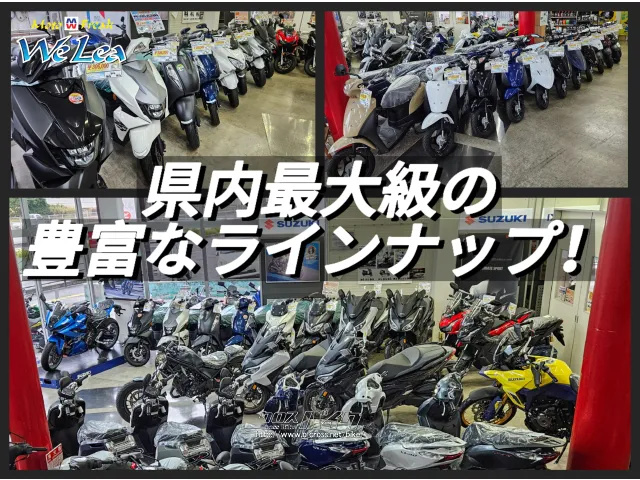 スズキ DR-Z400