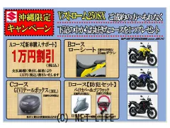 スズキ V-STROM250SX