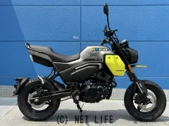 CFMOTO PAPIO XO-2