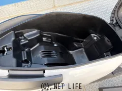 ホンダ ICONe: