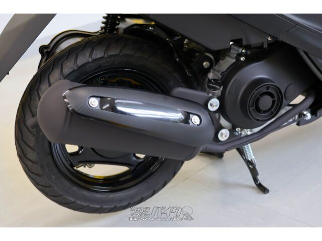 アドレスV50専用　リアスポイラー　新品・未使用品 値下げ】限定品 アドレスV50用リアスポイラー