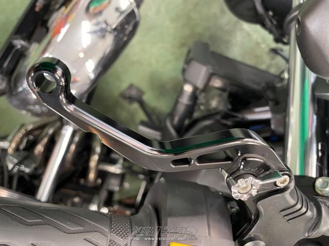 U-KANAYAショートレバー(L) スズキ SV650