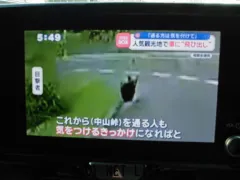 トヨタ ヤリスクロス