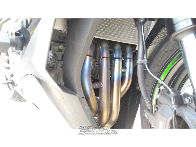 沖縄アダン＊染色292-300 SizeMAX】Kansai 接触冷感 リーフ柄プリントアロハシャツ【AOKI