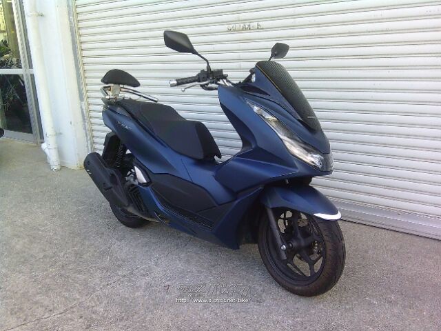 あお様 Physical Education Time, Sumika Aoyama | Z/X -Zillions of