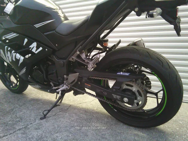カワサキ ニンジャ250 ABS (2017年) KRT Winter Test Edition・2017