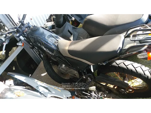部品取車・フレーム等 トリッカー250