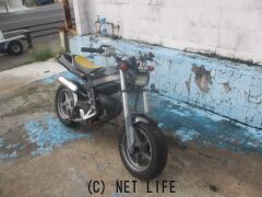 スズキ ストリートマジック50