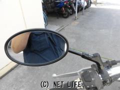 スズキ イントルーダー250