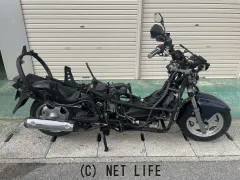 スズキ バーグマン250