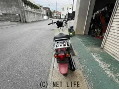 スズキ バーディー50