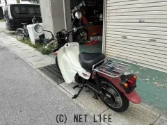 スズキ バーディー50